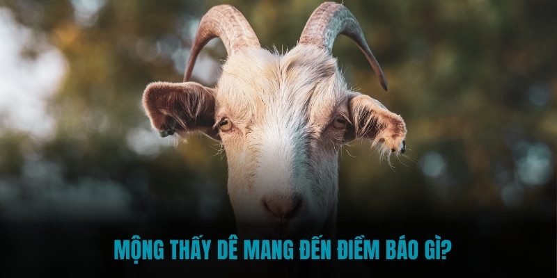 Mộng thấy dê mang đến điềm báo gì? 