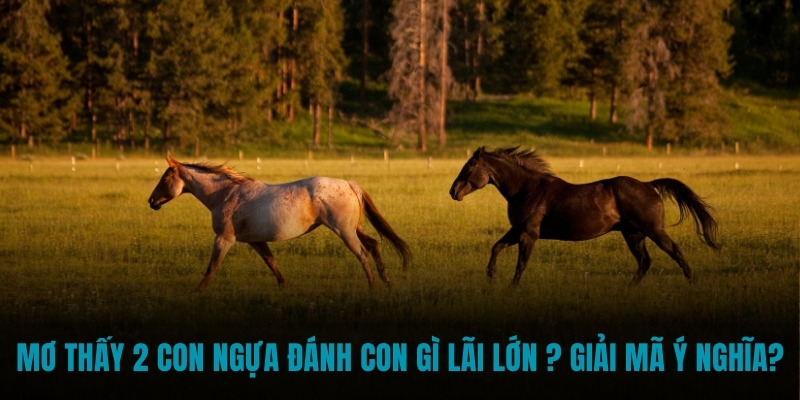 mơ thấy 2 con ngựa