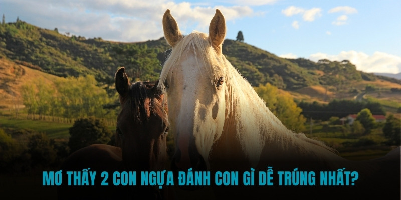 Mơ thấy 2 con ngựa đánh con gì dễ trúng nhất?
