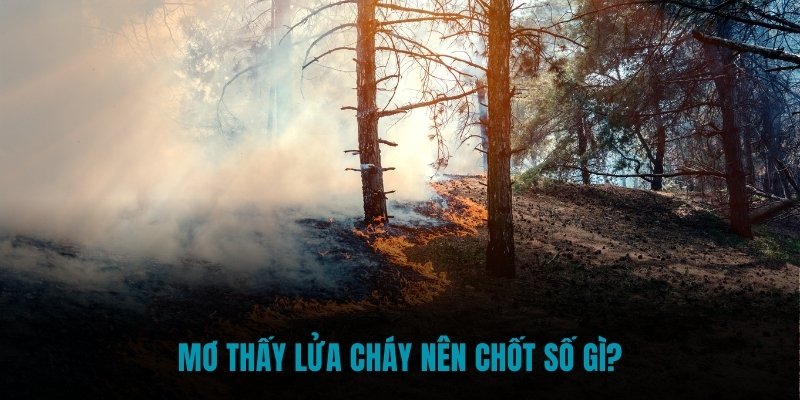 Mơ thấy lửa cháy nên chốt số gì?