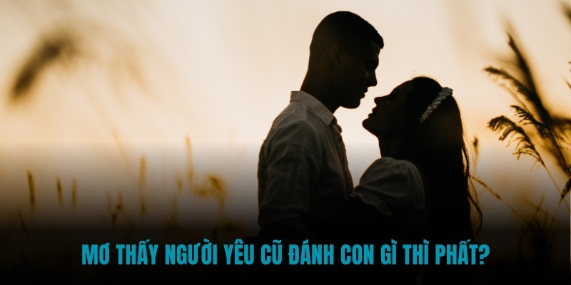 Mơ thấy người yêu cũ đánh con gì thì phất?