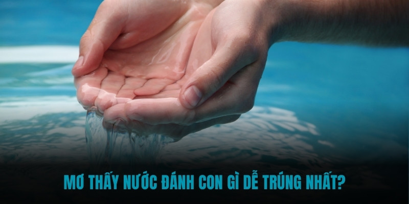 Mơ thấy nước đánh con gì dễ trúng nhất?