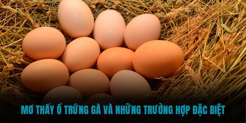 Mơ thấy ổ trứng gà và những trường hợp đặc biệt