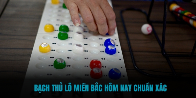 Bạch thủ lô Miền Bắc hôm nay chuẩn xác