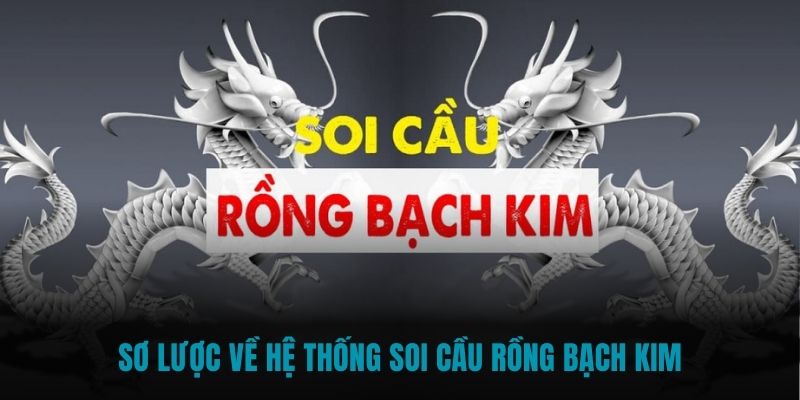 Sơ lược về hệ thống soi cầu Rồng Bạch Kim