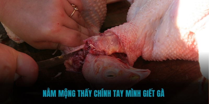 Nằm mộng thấy chính tay mình giết gà