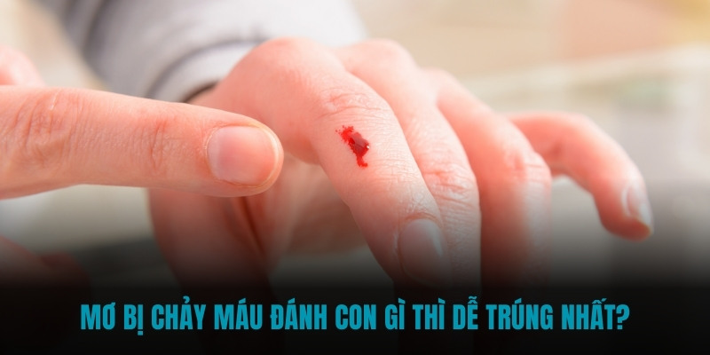 Mơ bị chảy máu đánh con gì thì dễ trúng nhất?
