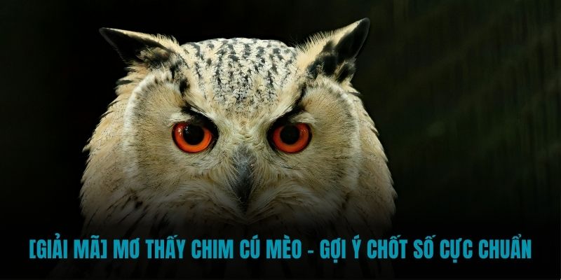 Mơ thấy chim cú mèo