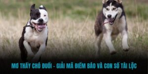 Mơ thấy chó đuổi