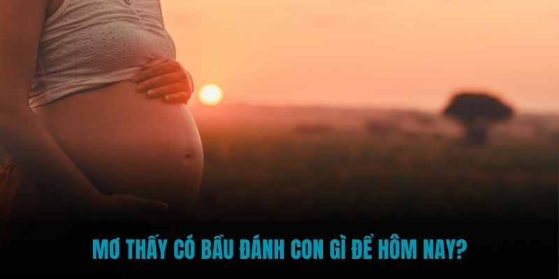 Mơ thấy có bầu đánh con gì để hôm nay?