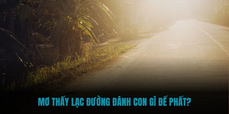 Mơ thấy lạc đường đánh con gì để phất?