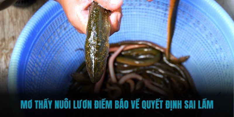 Mơ thấy nuôi lươn điềm báo về quyết định sai lầm