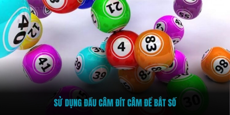 Sử dụng đầu câm đít câm để bắt số