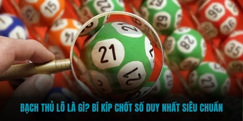 bạch thủ lô là gì