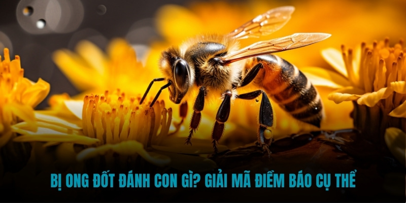 Bị ong đốt đánh con gì