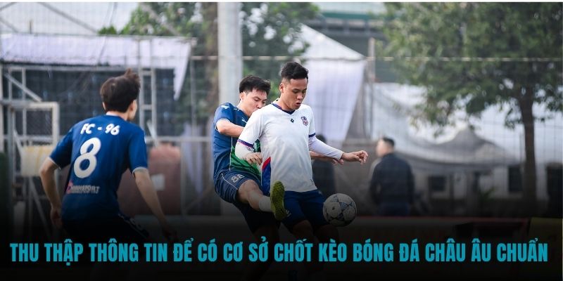 Thu thập thông tin để có cơ sở chốt kèo bóng đá châu Âu chuẩn xác