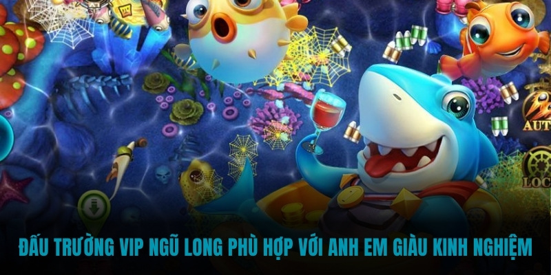 Đấu trường VIP Ngũ Long phù hợp với anh em giàu kinh nghiệm