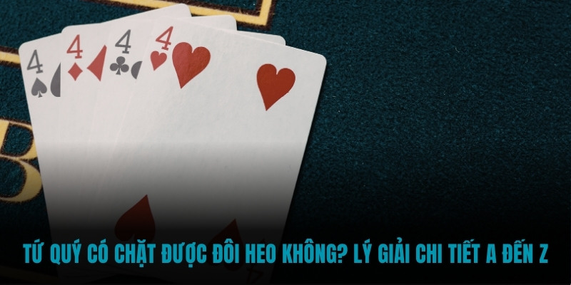 tứ quý có chặt được đôi heo không